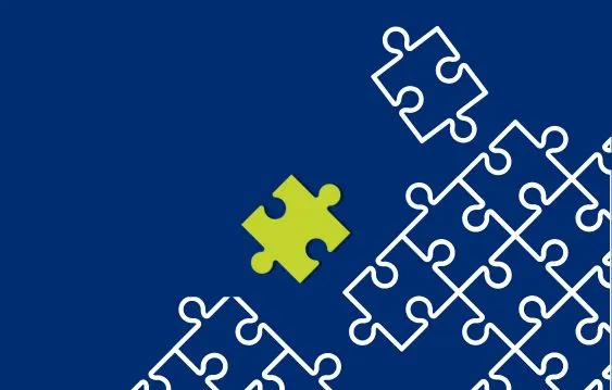 Toxics Targetting and ERIS logo on the left with puzzles image.