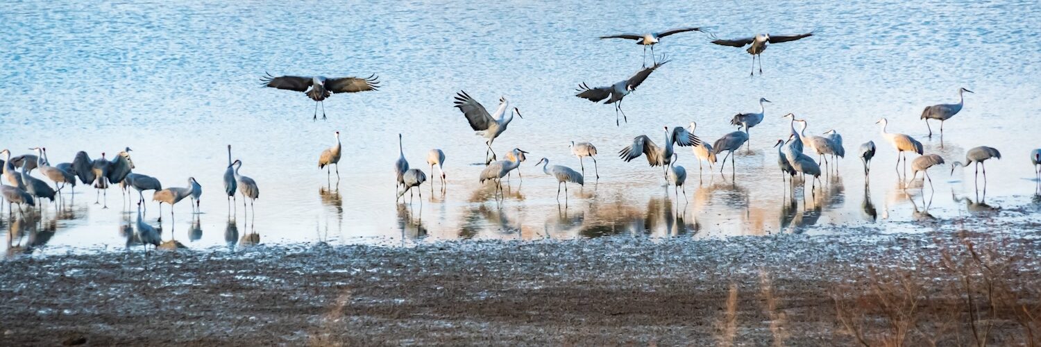 Tennessee Passes New Wetland Classifications to Reduce Burden on Property Owners